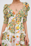 Floral Print V Neck Juliet Sleeve Lace Ruffled Trim A-Line Mini Dresses-Green